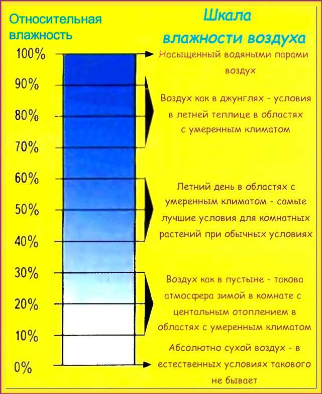 Какая влажность воздуха считается нормальной в квартире правила и рекомендации Какая влажность воздуха считается нормальной в квартире правила и рекомендации
